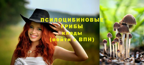 таблы Алексеевка